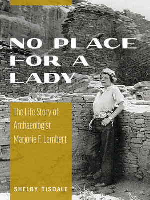 cover image of No Place for a Lady